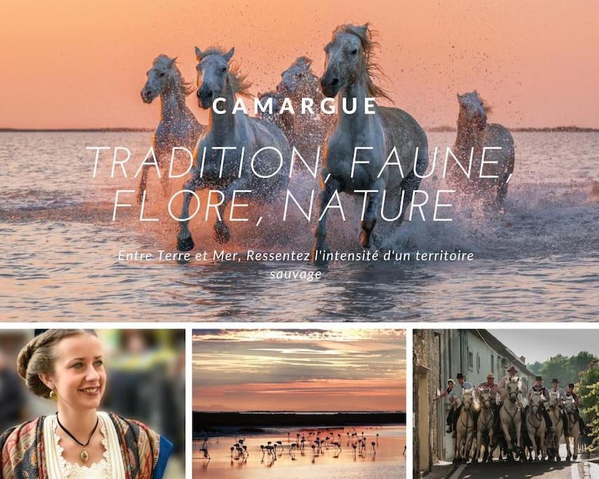 Le Nautilus Proche Plage Clim Parking Prive Wifi Proche Montpellier Carnon-Plage Dış mekan fotoğraf